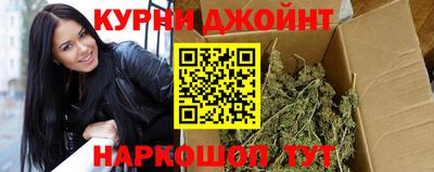 apvp Гатчина